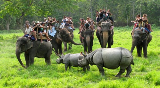 Chitwan Jungle Safari With National Park Tower Night Stay - Cancellation and Payment Policy