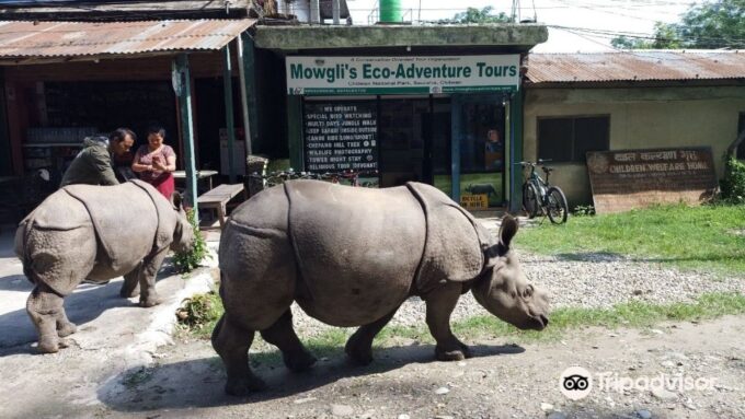 Chitwan Jungle Safari With National Park Tower Night Stay - Frequently Asked Questions