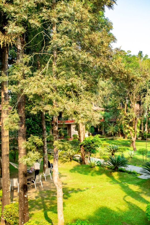 Chitwan National Park 2N 3D Tour - Key Points