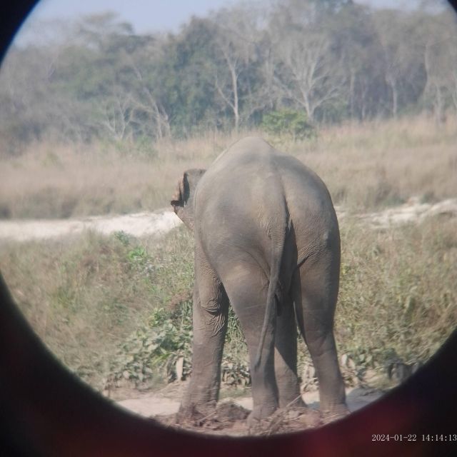 CHITWAN NATIONAL PARK FULL DAY PRIVATE JEEP SAFARI FROM MADI - Accommodation and Meals