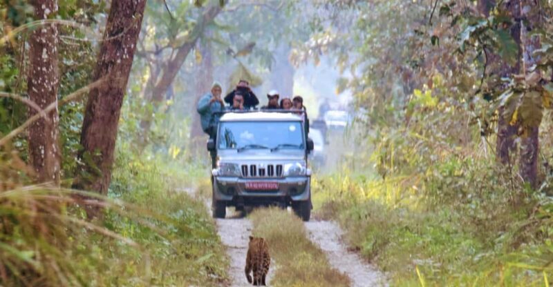 Chitwan National Park: Jeep Safari Tour With Guide - Key Points