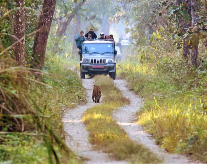 Chitwan National Park: Jeep Safari Tour With Guide - Wildlife and Flora Exploration