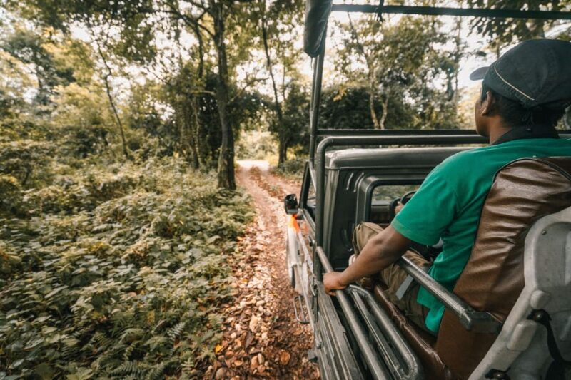 Chitwan National Park: Jeep Safari Tour With Guide - Inclusions and Whats Covered