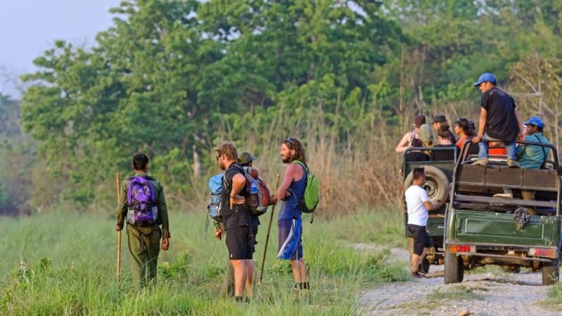 Chitwan National Park: Jeep Safari Tour With Guide - Pickup and Drop-off Details