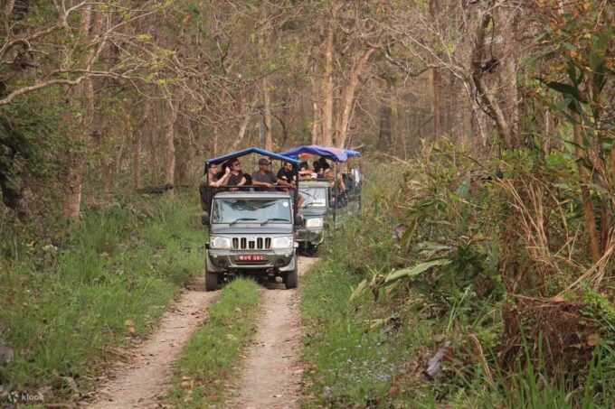 Chitwan National Park: Jeep Safari Tour With Guide - Park Entrance Permit