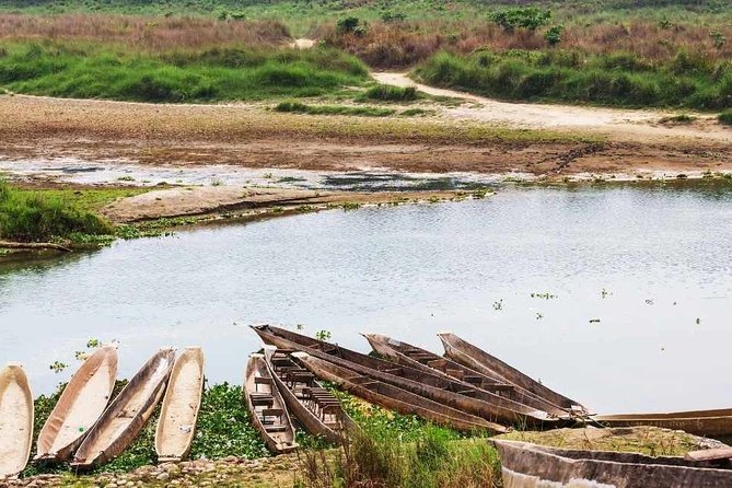 Chitwan National Park Jungle Safari Tours 3 Days - Included Activities