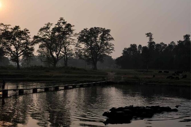 Chitwan National Park Jungle Safari Tours 3 Days - Highlights of the Tour