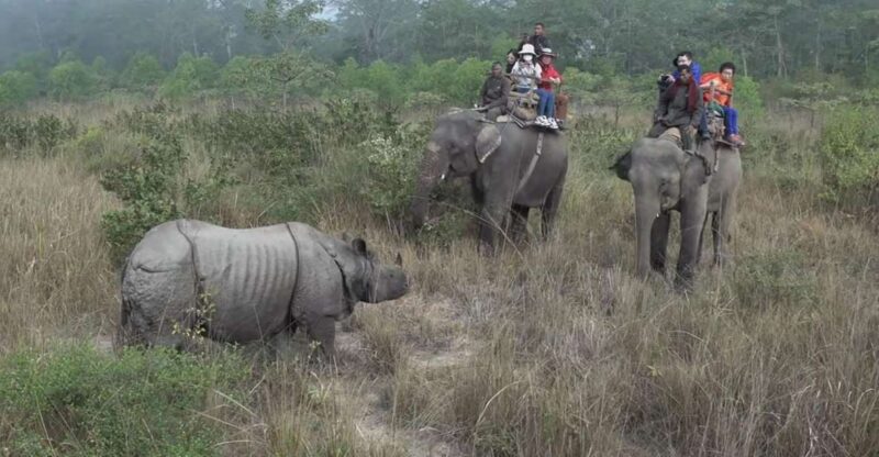 Chitwan National Park Luxury Tour - Key Points
