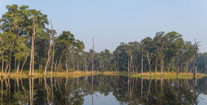 Chitwan National Park Luxury Tour - Cultural Immersion