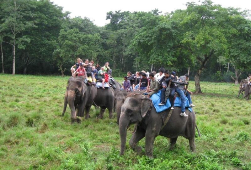 Chitwan National Park Luxury Tour - Itinerary Highlights
