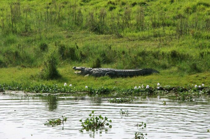 Chitwan National Park Luxury Tour - Cancellation Policy