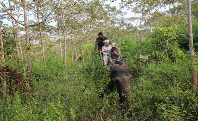 Chitwan National Park Luxury Tour - Frequently Asked Questions