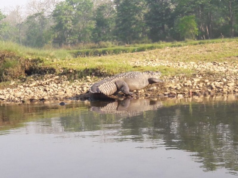 Chitwan National Park Tour - Travel Logistics