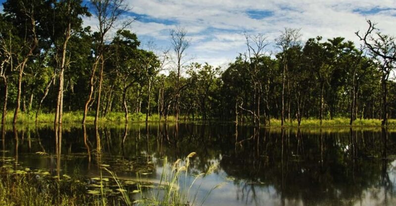 Chitwan National Park Tour With Hotel Transfers - 2N & 3D - Itinerary Details