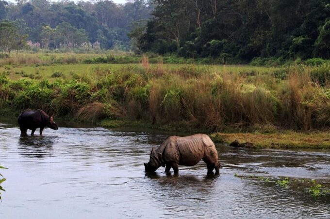 Chitwan National Park Tour With Hotel Transfers - 2N & 3D - Important Guidelines