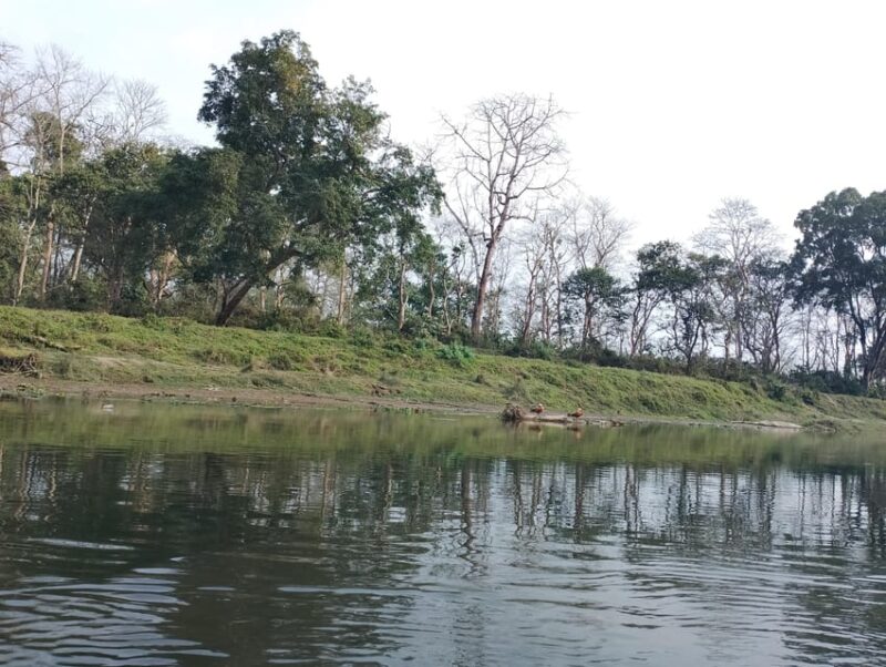 Chitwan: National Park Tower Night Stay Tour - Pickup and Transportation