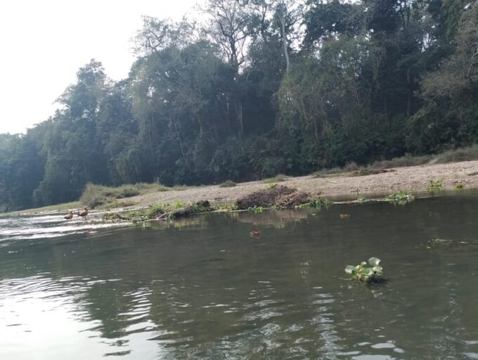 Chitwan: National Park Tower Night Stay Tour - Recommended and Prohibited Items