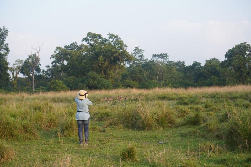 Chitwan Tower Night Stay, the Best Chitwan Safari Experience - Diverse Wildlife and Birdwatching Opportunities