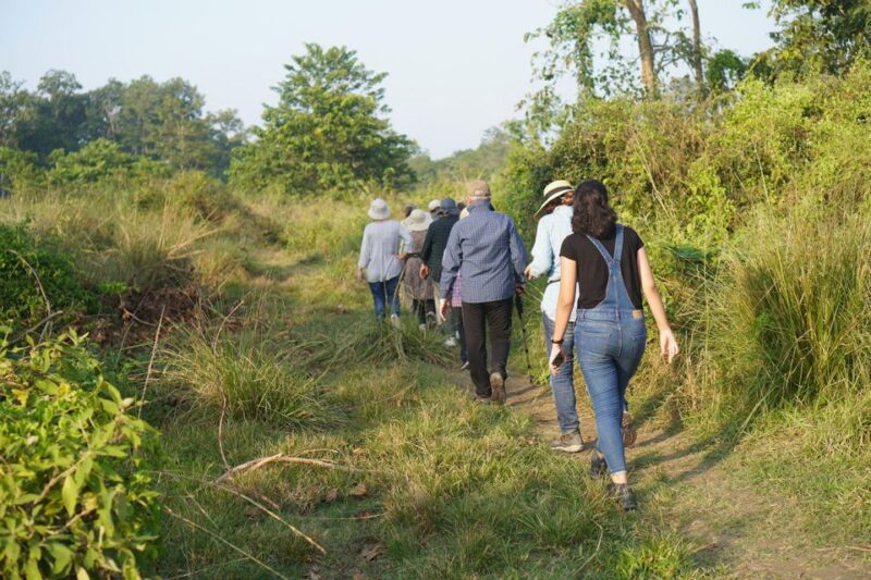 Chitwan Tower Night Stay, the Best Chitwan Safari Experience - Tranquil Jungle Walks and Canoeing Excursions