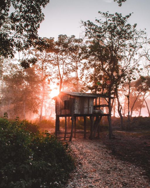 Chitwan:2 Night 3 Days Jungle Safari Adventure Tour - Day 3: Departure