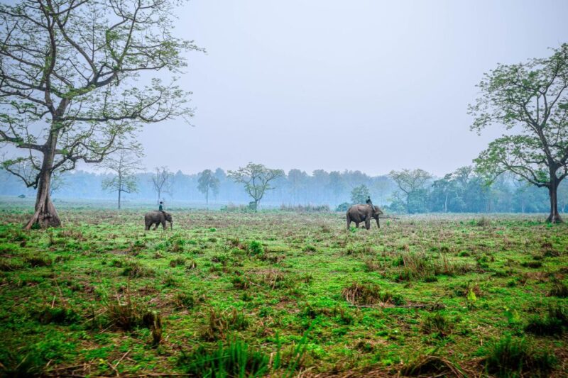 Chitwan:2 Night 3 Days Jungle Safari Adventure Tour - Inclusions and Exclusions