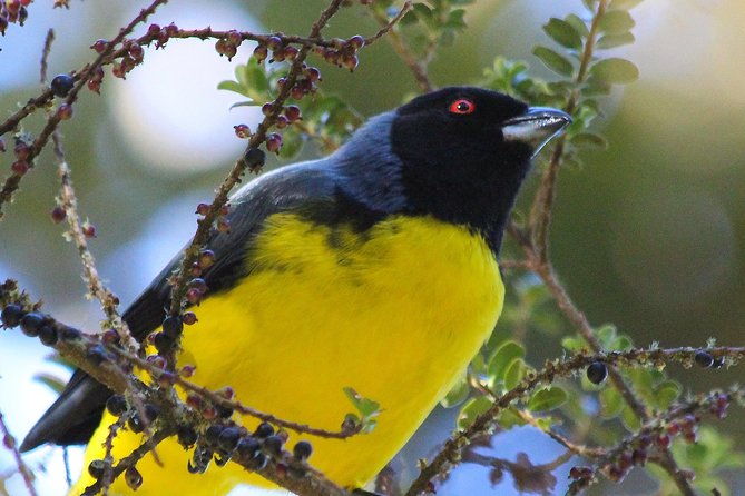 Choachí Mountains & Waterfalls Hike - Cancellation Policy