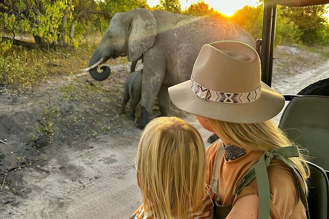Chobe 3hr Game Drive - Inclusions