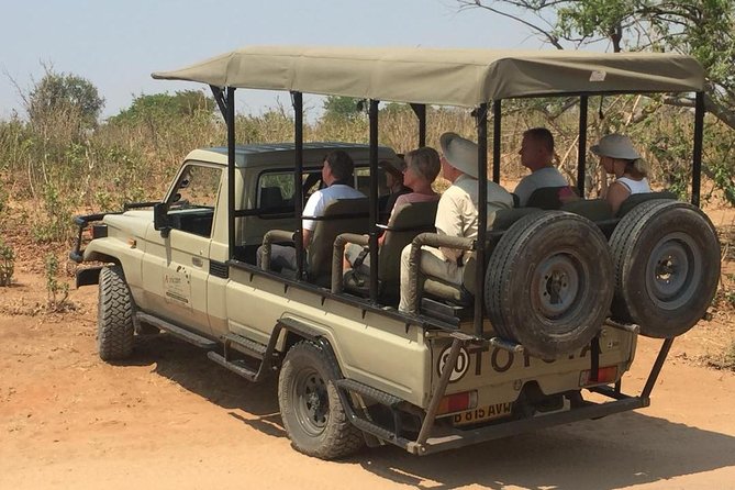 Chobe 3hr Game Drive - Accessibility and Recommendations