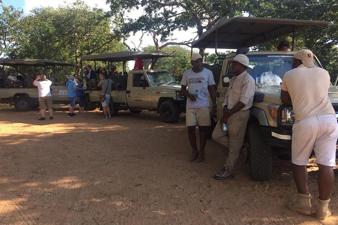Chobe 3hr Game Drive - Wildlife Encounters