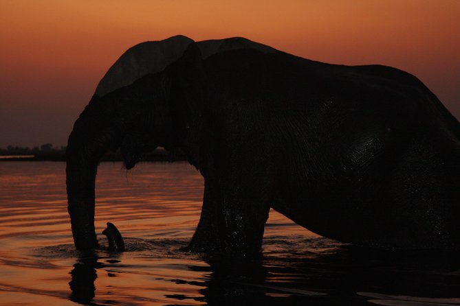 Chobe 3hr Sunset Boat Cruise - Meeting and Pickup Details