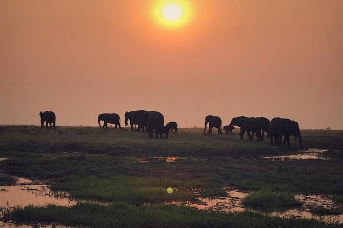 Chobe 3hr Sunset Boat Cruise - Schedule and Availability