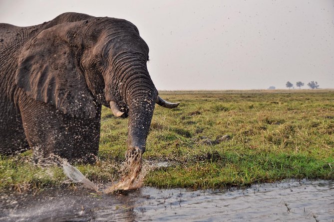 Chobe 3hr Sunset Boat Cruise - Tips for Your Cruise