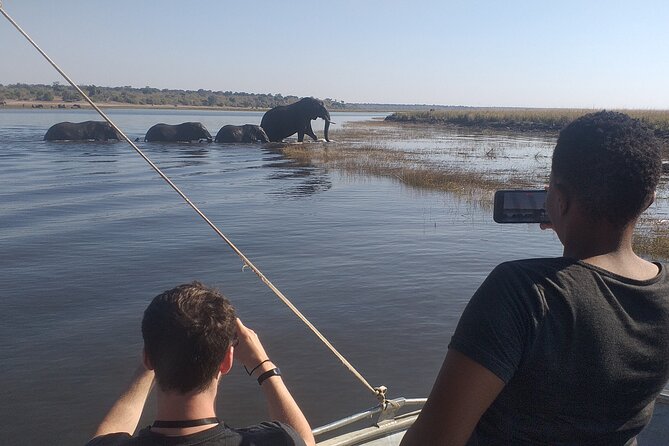 Chobe Botswana Full-Day Trip - Reviews
