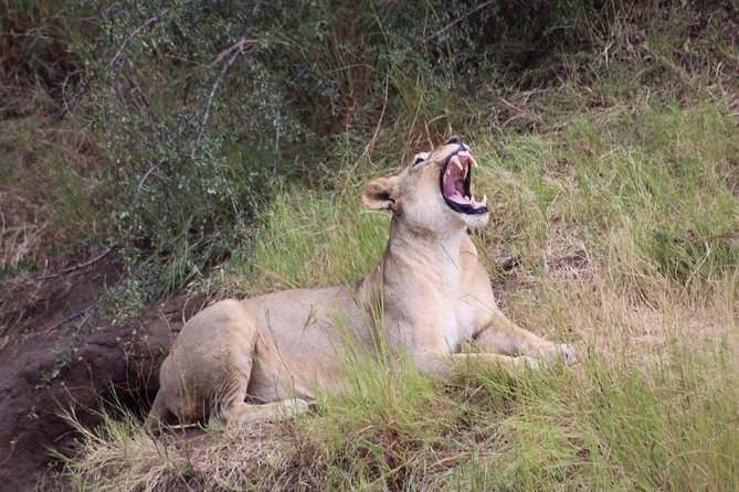 Chobe Day Trip Botswana - Tour Overview