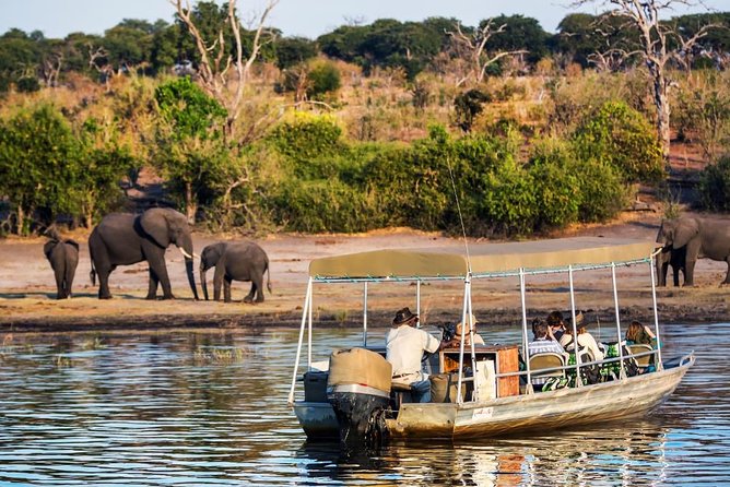 Chobe Day Trip - Key Points