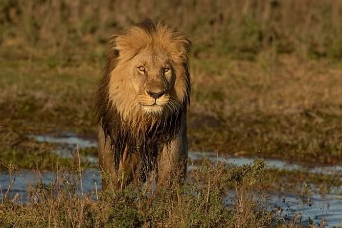 Chobe Day Trip - What to Bring