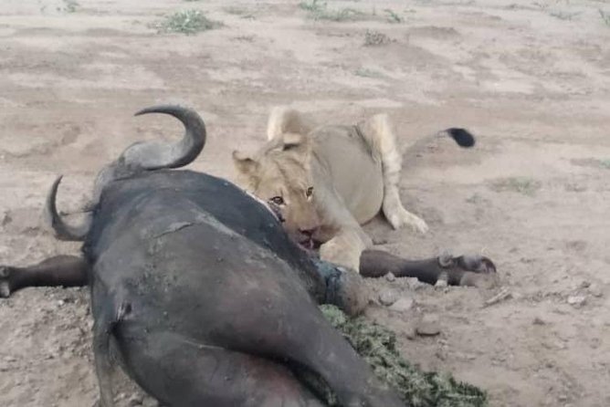Chobe Day Trip - Additional Information