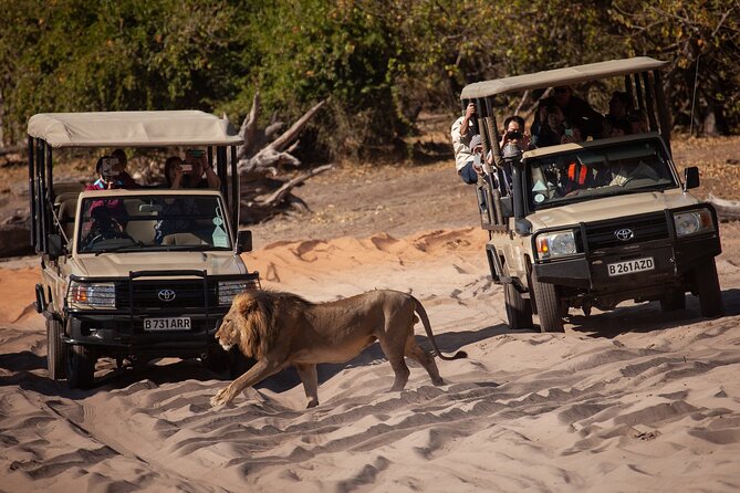 Chobe Day Trip Ex Livingstone / Victoria Falls - Tour Duration and Schedule