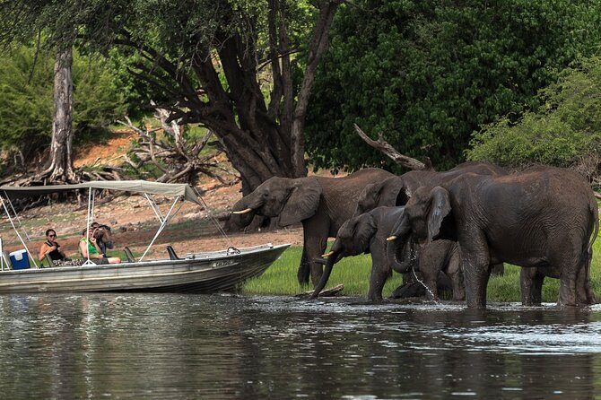Chobe Day Trip Ex Livingstone / Victoria Falls - Suitability and Accessibility