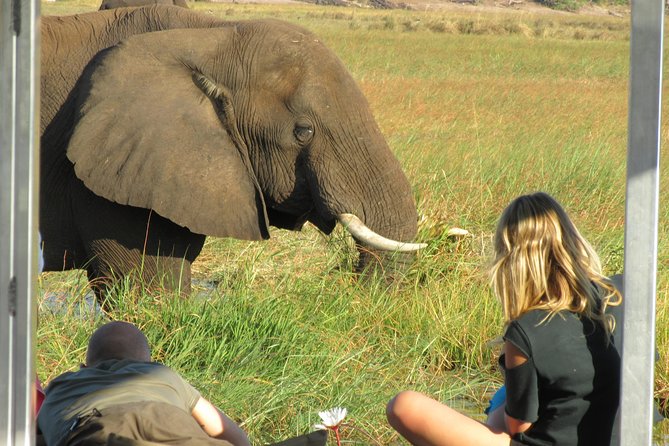 Chobe Day Trip From Victoria Falls Zimbabwe - Combination of Land and River Transport