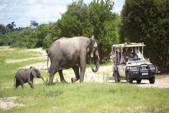 Chobe Day Trip To Botswana From Livingstone - Inclusions and Amenities