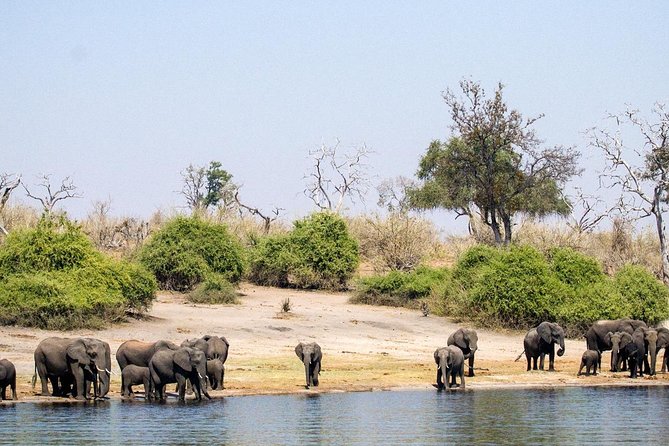Chobe Day Trip To Botswana From Livingstone - Lunch and Refreshments
