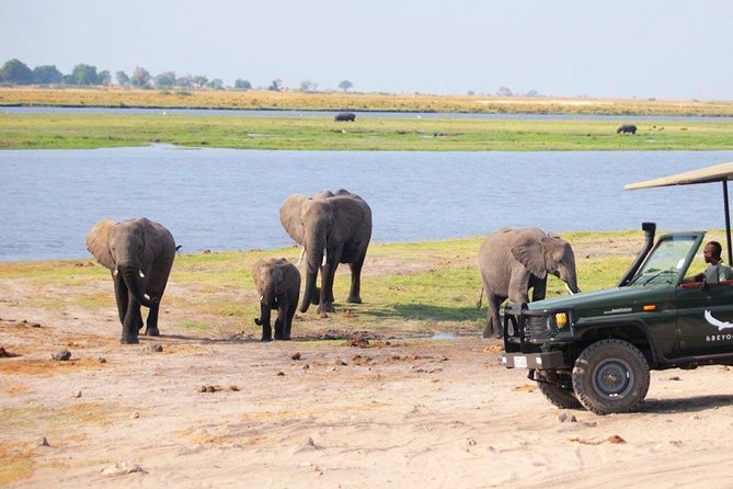 Chobe Day Trip To Botswana From Livingstone - Wildlife Viewing Opportunities