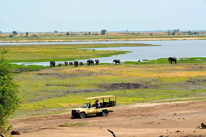 Chobe Day Trip To Botswana From Livingstone - Pricing and Reviews