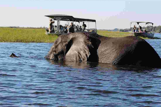 Chobe Extended Day Trip From Victoria Falls - Zimbabwe - Included Amenities and Services