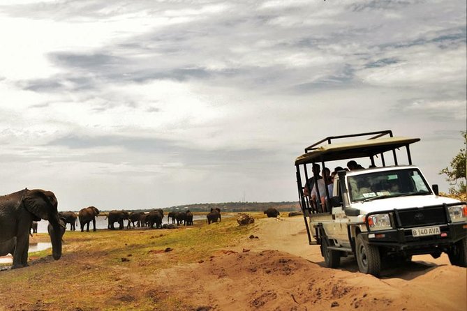 Chobe Extended Day Trip From Victoria Falls - Zimbabwe - Wildlife Sightings Opportunity