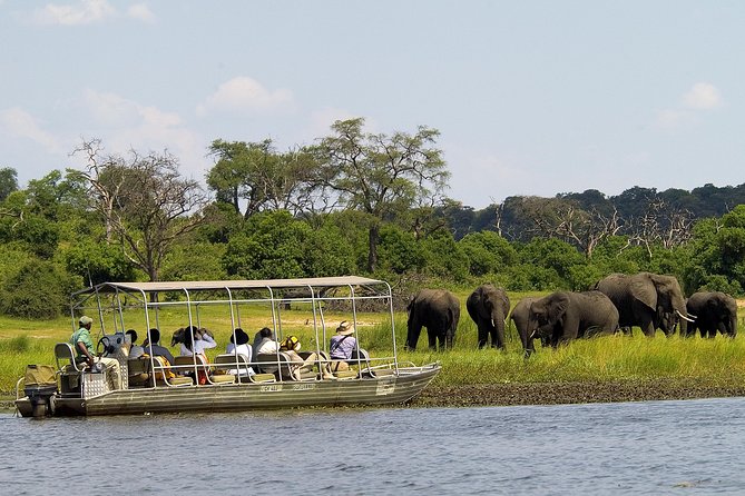 Chobe Full Day Safari Trip - Inclusions and Amenities