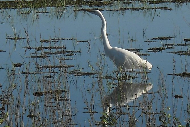 Chobe Full Day Safari Trip - Refund and Cancellation Policy
