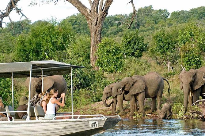 Chobe Full Day Trip - Accessibility for the Tour