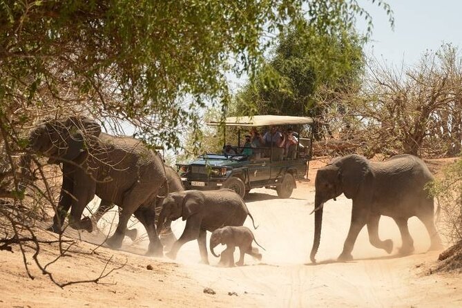 Chobe Full Day Trip - Booking and Cancellation